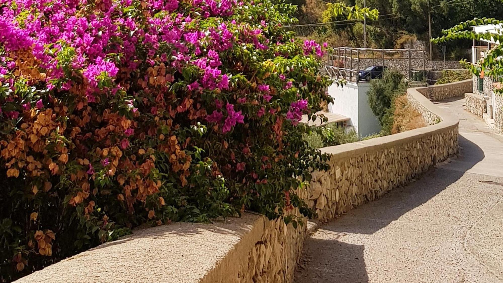 Aparthotel Al Poggio Antico à Amalfi Extérieur photo